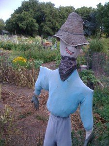 Scarecrow 1